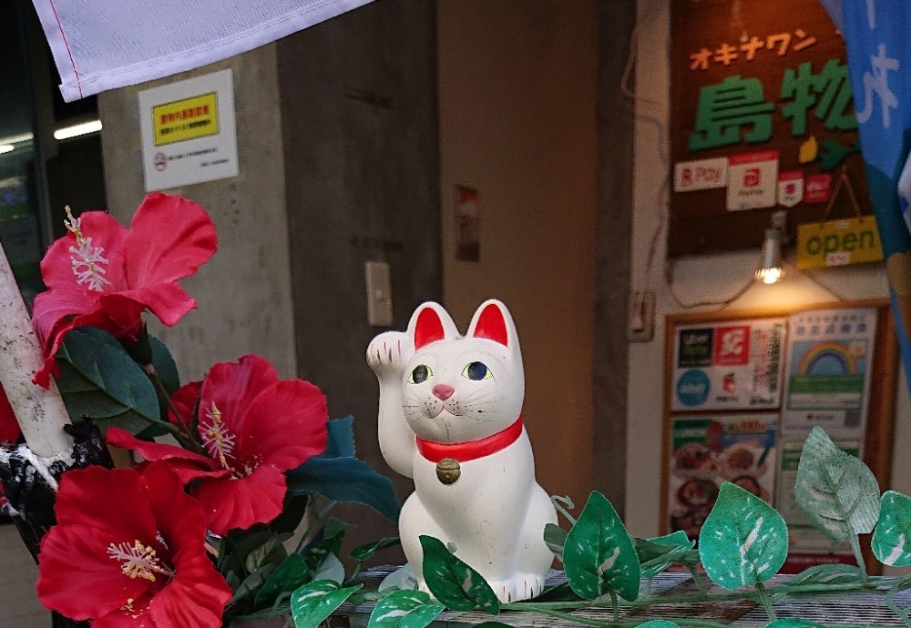 【招き猫】沖縄料理｜島物語｜幡ヶ谷